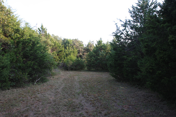 Large, hidden clearing in the back of the property